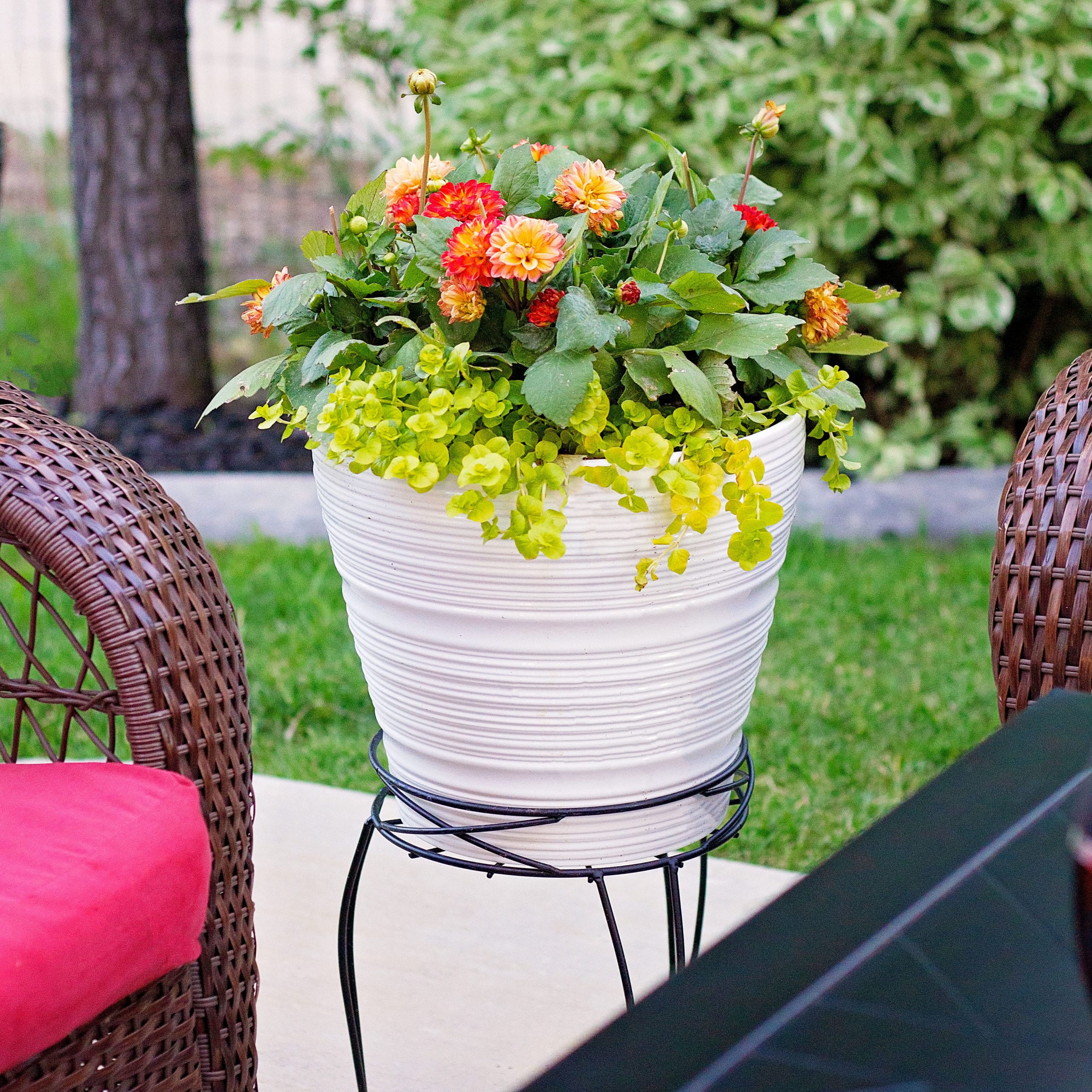 6 Tips To Help You Organize Your Outdoor Space
