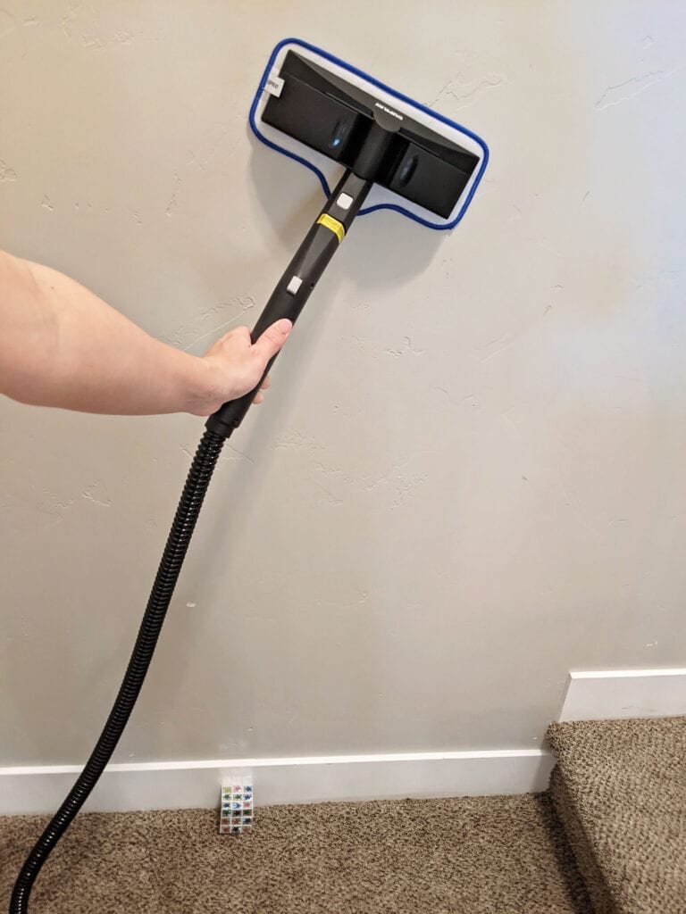 Steam cleaning: A beginner's guide. 