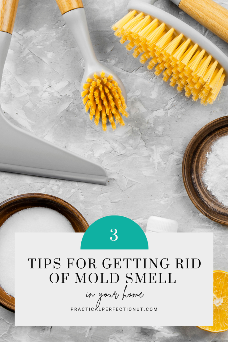 3-simple-ways-to-get-rid-of-the-mold-smell-in-your-home-practical