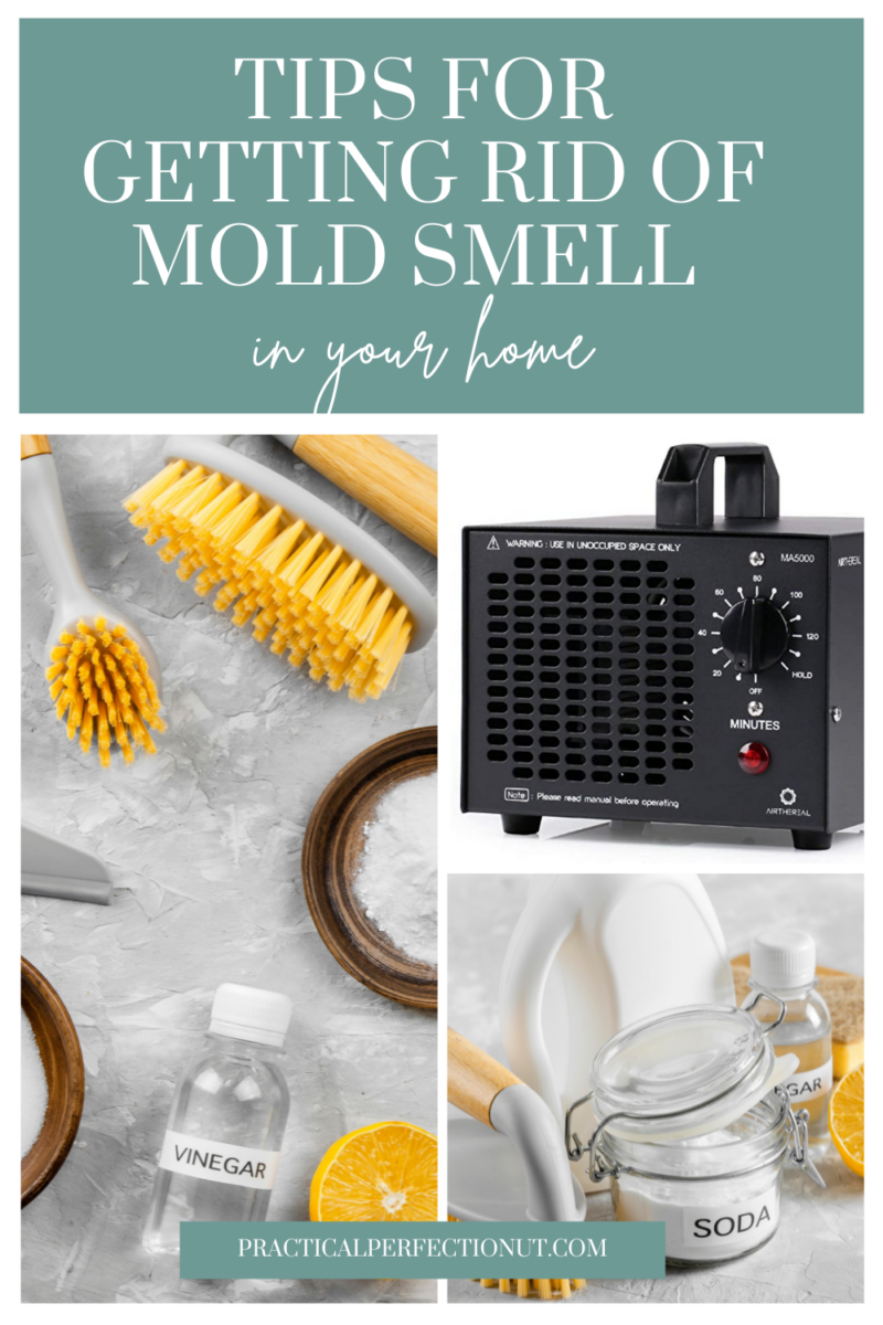 How To Eliminate Mold Smell In House