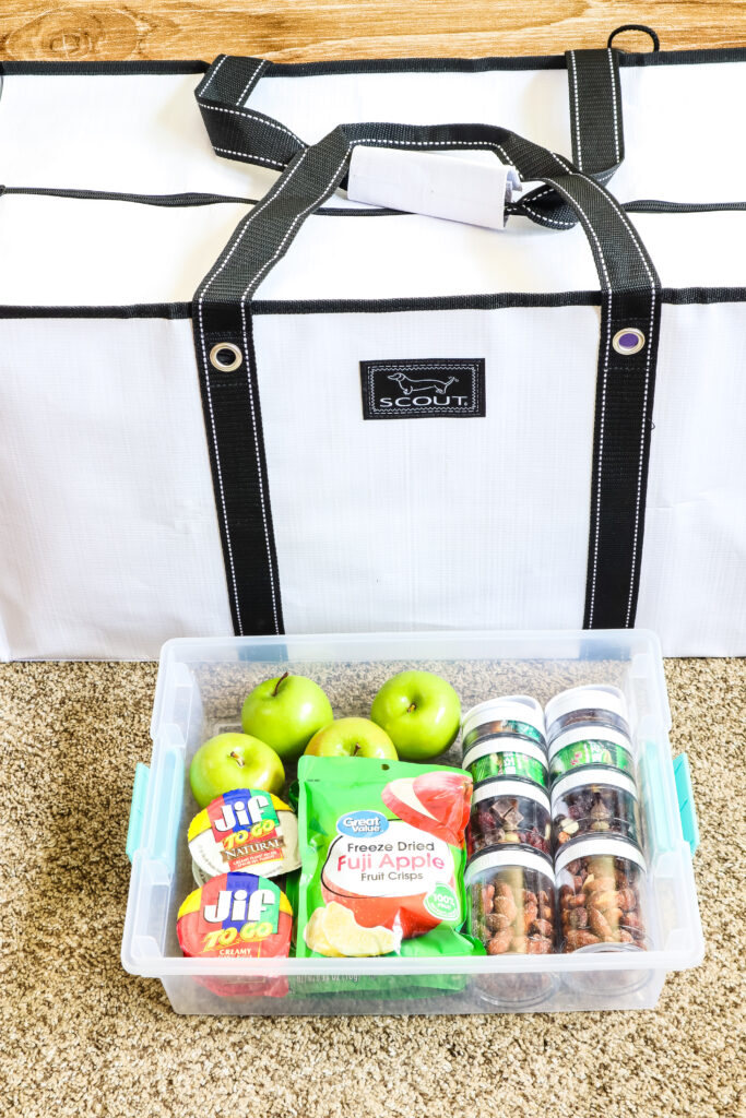 A Perfectly Organized Pool Bag