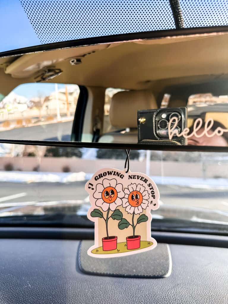 Cute Interior Car Accessories