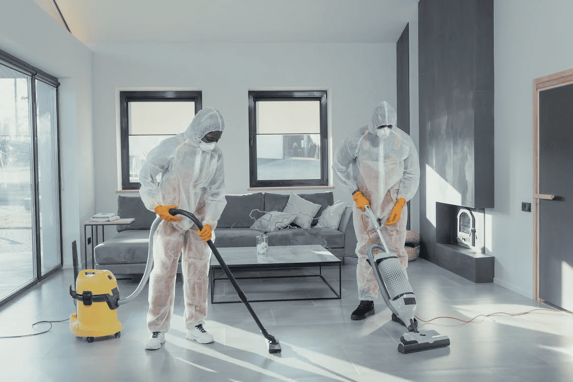 How To Use Bissell Carpet Cleaners For Maximum Effect